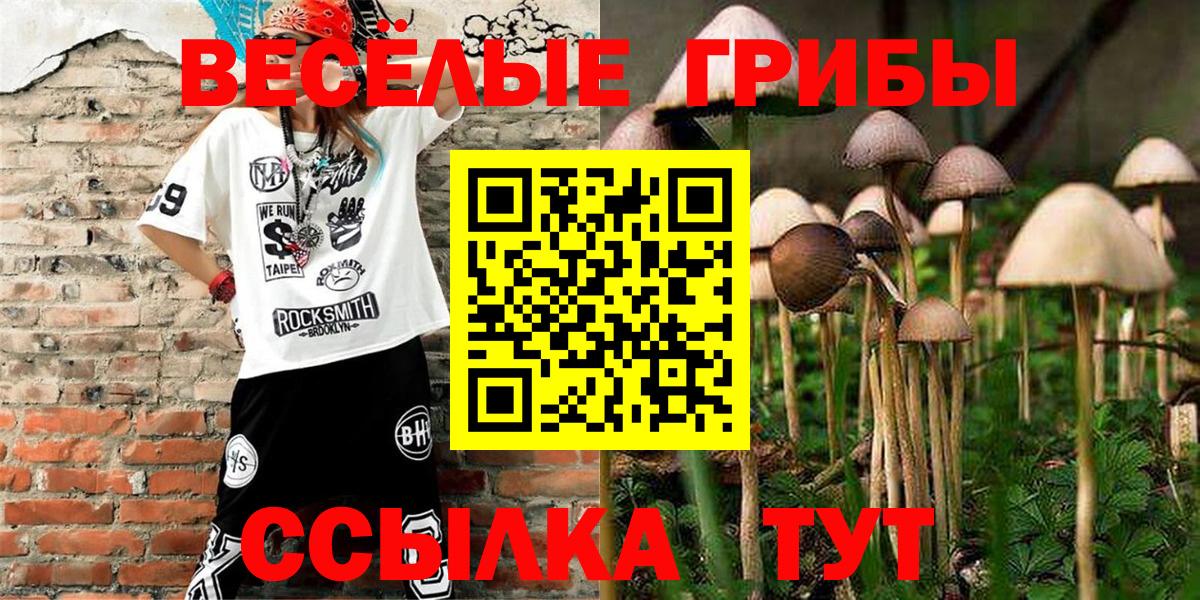 Галлюциногенные грибы ЛСД  Вход с VPN  Галлюциногенные грибы Psilocybine cubensis  Уссурийск 